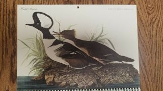 Audubon Calendar For 1963 Vintage From Northwestern Mutual Life Insurance Co
