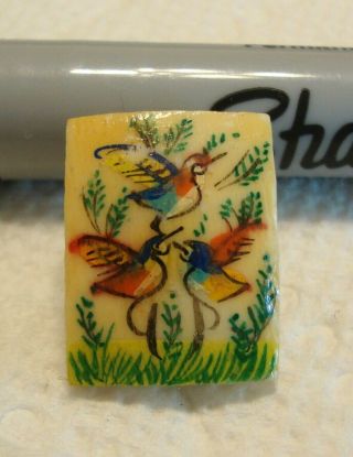 Vintage Antique Miniature Painted Bird Celluloid Button 5/8 " X 7/8 "