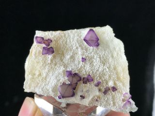 Purple and Green Octahedral Fluorite cluster on Quartz Matrix from De ' an 2