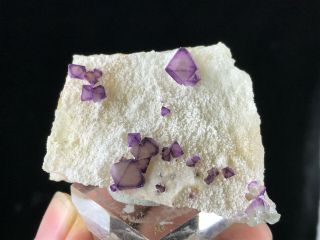 Purple and Green Octahedral Fluorite cluster on Quartz Matrix from De ' an 4