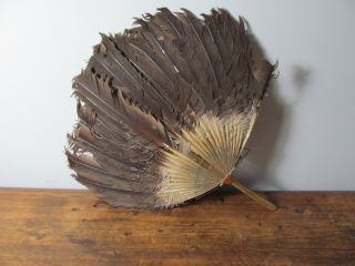 Vintage Asian Feather Fan