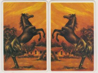 Swap Cards Rearing Horse In Scene Vintage Blank Back Mirror Image Pair