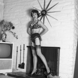 1960s Vogel Negative,  Sexy Pin - Up Girl Joni Short With Tv,  Cheesecake,  T243312