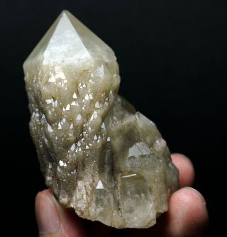 106g Rare Natural Smoky Skeletal Elestial Quartz Crystal Point Specimen 7133