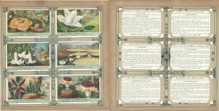 Liebig,  Set 6 Cards,  F1540,  1952,  Giant Flowers,  Magnolia,  Arborea