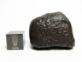 Nwa X Meteorite 18.  80g Superbly Shaped Stony Space Rock