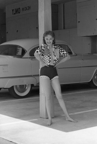 1960s Ron Vogel Negative,  Sexy Pin - Up Girl Donalda Jordan,  Cheesecake,  T243047