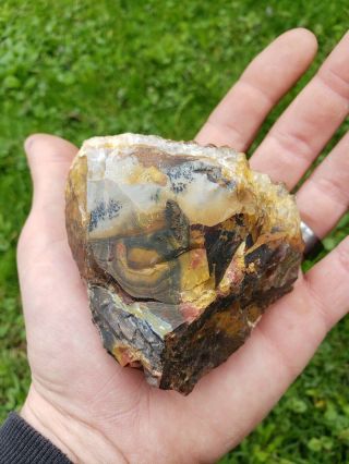 Smoky quartz crystal cluster unique mineral crystal specimen Ohio flint chert 2
