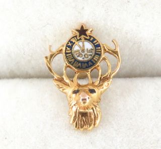 . Early 1900s 14k Gold Lapel Pin B.  P.  O.  E Benevolent & Protective Order Of Elks.