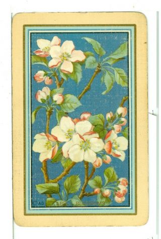 Single Vintage Playing Card U.  S.  Narrow Named " Apple Blossoms " Ap - 2 - 1 A