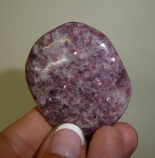 Dino: Lepidolite Crystal Polished Smooth Stone,  Brazil - 26 G - Chakra Stone