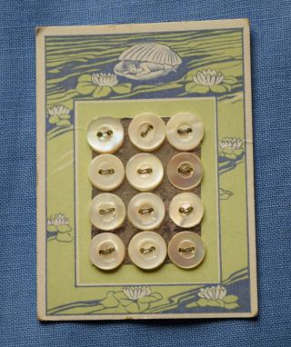 7178 Vintage Mother Of Pearl Shell Button,  Baby Mermaid/waterlily Graphic