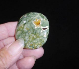 Carols: Rainforest Rhyolite (5) Worry Stone Crystal Healing Australia 55n