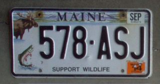2014 Maine Fish & Moose " Support Wildlife " License Plate.