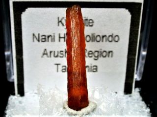 Minerals : Terminated Orange Kyanite Crystal From Tanzania