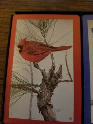 Hoyle Birds Playing Cards double deck plastic coated vintage Cardinal Bluebird 4