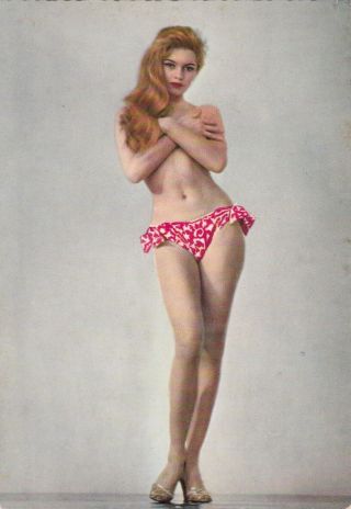 Brigitte Bardot - Hollywood Movie Star/actress Pin - Up/cheesecake 1950s Postcard