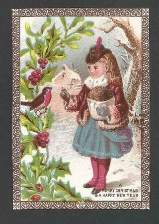 C22 - Girl Feeding Robin Plum Pudding - Goodall - Victorian Xmas Card - Trimmed