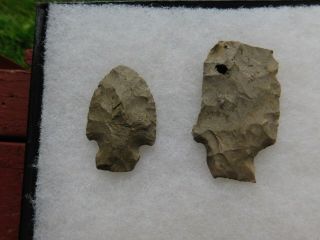 2 Arrowheads Found In Cass County Michigan