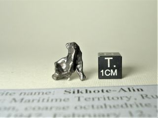 Meteorite Sikhote - Alin,  Russia,  Complete Regmaglypted Individual 3,  0 G