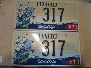 Set Of Idaho Wildlife Graphic License Plates