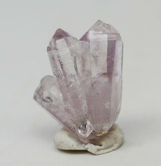 1 " Amethyst Crystals Las Vigas Vera Cruz Mexico Lv2882