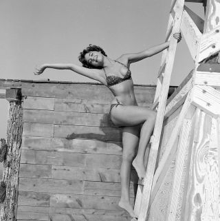 1950s Vogel Negative,  Sexy Pin - Up Girl Julie Hart In Bikini,  Cheesecake,  T242359