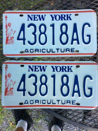 York Statue Of Liberty Agriculture License Plate Pair 43818ag Take A Look