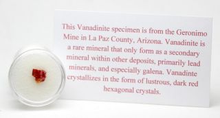 Vanadinite Crystal Cluster Mineral Specimen Geronimo Mine AZ w/ Case & ID card 2