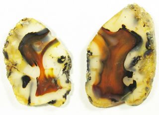 Montana Agate.  Abstract Patterns In Red & Black In A Clear Background,  2 Slabs.