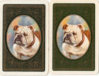 3 Playing Swap Cards - Dogs - British Bull Dog - Different Green Colours