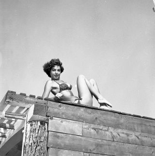 1950s Vogel Negative,  Sexy Pin - Up Girl Julie Hart In Bikini,  Cheesecake,  T242363