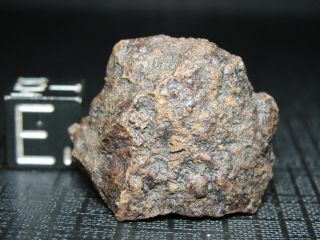 Nwa 5413 Official Meteorite H5 - S3 - W3 Chondrite - Lp - 0038 - 7.  94g W/coa - Indie