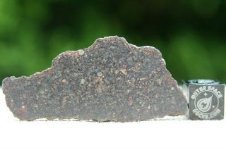 Nwa 10499 Ll3 Primitive Chondrite Meteorite 4.  8g From Billions Of Years Ago