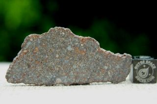 NWA 10499 LL3 Primitive Chondrite Meteorite 4.  8g from billions of years ago 2