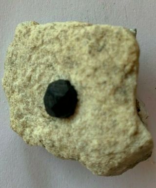 Specimen Of Andradite (garnet) On Granite From Oro Grande Mexico