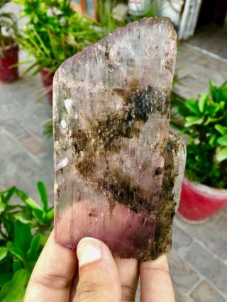 772 C.  T Top Quality Damage Terminated Rotile Inside Pink Kunzite Crystal 3