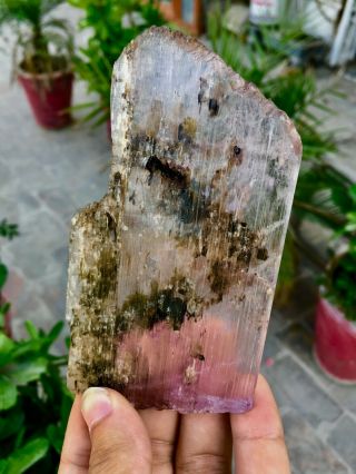 772 C.  T Top Quality Damage Terminated Rotile Inside Pink Kunzite Crystal 4