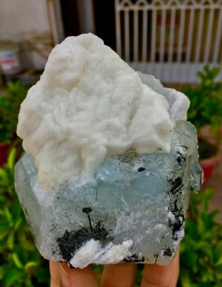 Wow 563 Gram Top Class Damage Terminated Tourmaline On Morganite Crystal