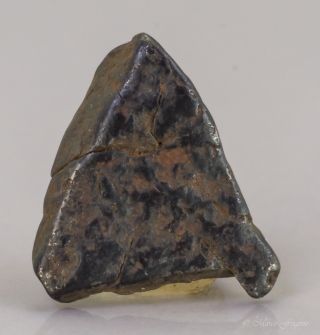 Meteorite Gibeon Iron Iva Fine Octahedrite Namibia 8 X 7.  1 X 2mm 0.  35gr