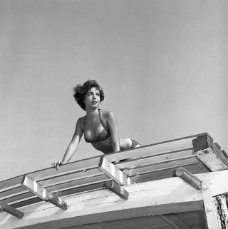 1950s Vogel Negative,  Sexy Pin - Up Girl Julie Hart In Bikini,  Cheesecake,  T242367