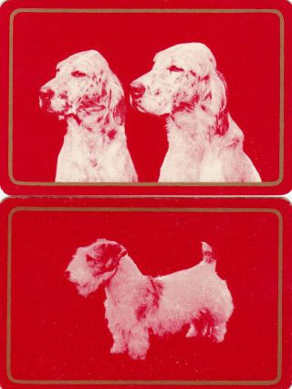 2 Rare Vintage Playing Swap Cards English Setter &terrier Dogs Photographs