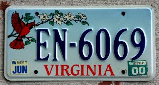 Virginia Cardinal On A Flower Branch License Plate With A 2000 Sticker