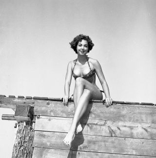 1950s Vogel Negative,  Sexy Pin - Up Girl Julie Hart In Bikini,  Cheesecake,  T242365