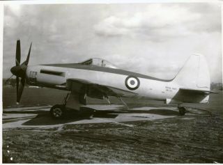Large And Fine Photograph Of An Early Westland Wyvern