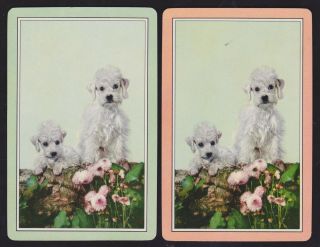 2 Single Vintage Swap/playing Cards Dogs In Garden Id 