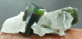 62 Carat Green Cape Tourmaline Crystal Specimen