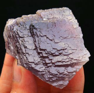 125g Rare Beauty Ladder - like Purple Fluorite Crystal Mineral Specimen/China 726 3
