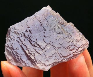 125g Rare Beauty Ladder - like Purple Fluorite Crystal Mineral Specimen/China 726 4
