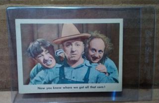 1959 Fleer The Three Stooges 76 Now You Know Where.  Exc Cond Card